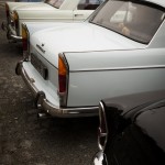DSCF6146